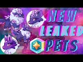 Prodigy Math Game NEW Leaked Pets and Magicoin Update Coming to Prodigy