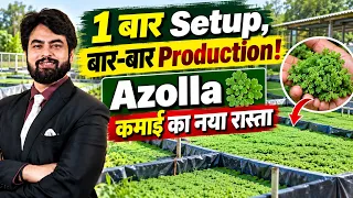 1-Time Setup, Repeated Production | Azolla Farming | Import Export Business | Harsh Dhawan