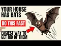 9 Easiest Ways to Get Rid of Bats