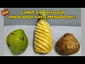 Download Lagu Make a Business With Only 3 Fruits | Make Money Online