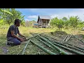 Download Lagu BERSIH BERSIH KEBUN BARENG PAK WANI DKK, PERSIAPAN MEMBUAT LANJARAN LABU MADU