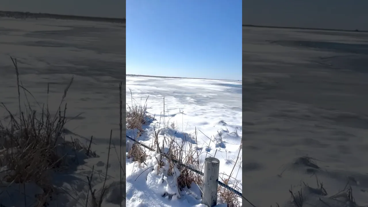 氷の上をおさんぽしてきた！！！#北海道 #vlog