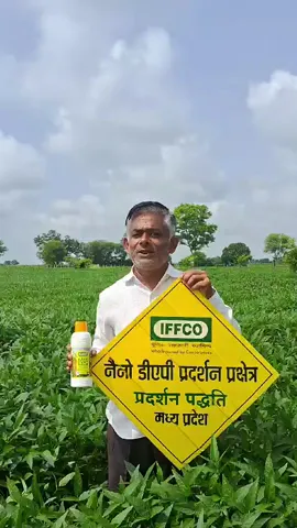 सागर के सुरेश कुमार के खेतों में कैसे लहलहाई सोयाबीन की खेती | वनइंडिया हिंदी