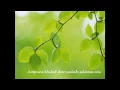 Download Lagu Edcoustic - Muhasabah Cinta
