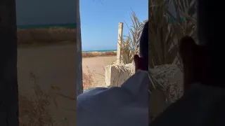 صيد ابو قميح 