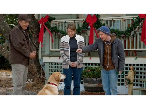 A Dog Named Christmas