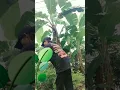 Download Lagu pak dedi mulyadi.tolong lah kami