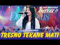 Download Lagu CANTIKA DAVINCA - TRESNO TEKANE MATI | OM SAVANA SAKJOSE (DIBUAT AMBYAR!! DIESNATALIS STMJ KE-59)