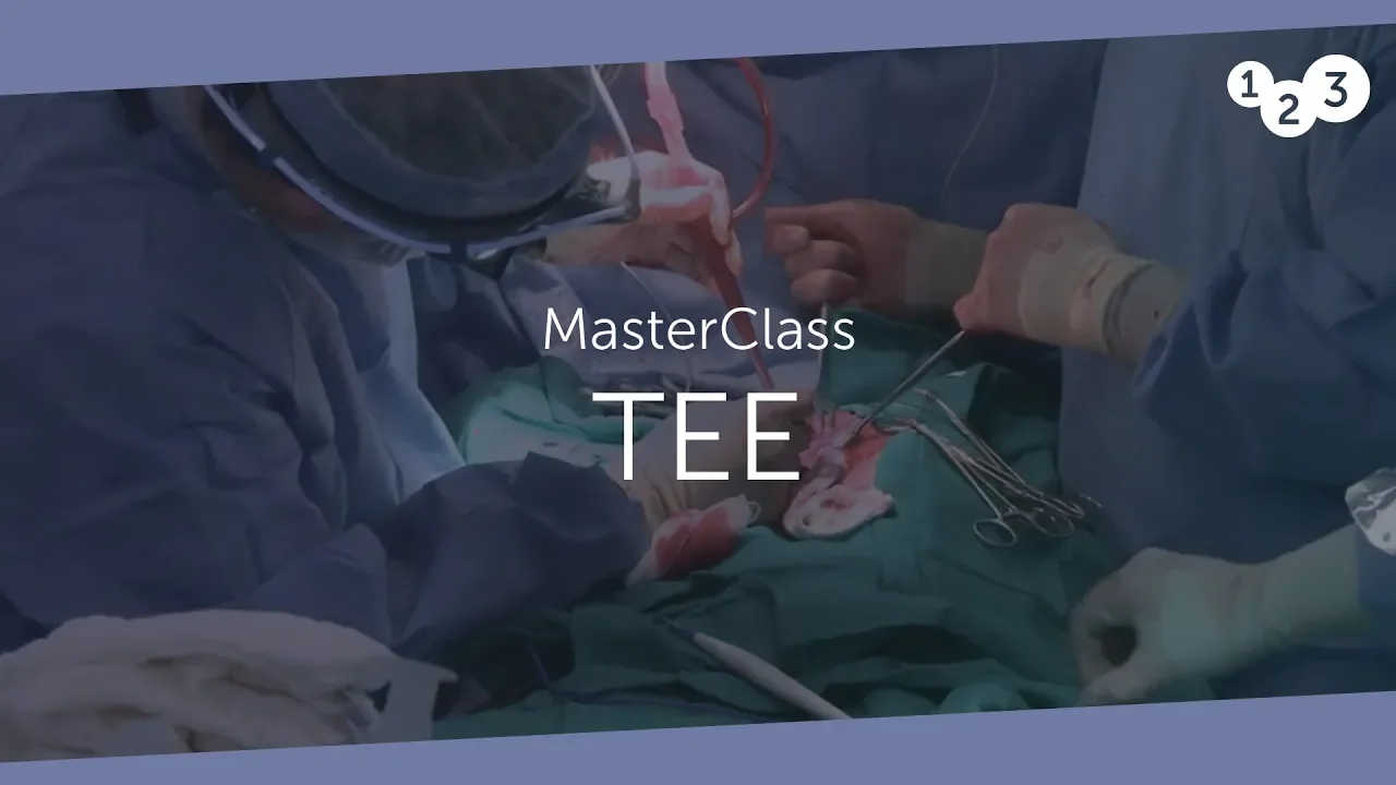 TEE MasterClass - Your introduction to TEE echocardiography