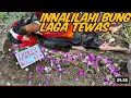 Download Lagu BANG REY TERBARU🔴REYMONDO TERKAPAR TERKENA PUSAKA BUNDA RATU