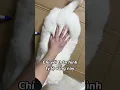 do handmake 2022 Update Đồ chơi handmade của May tập 3 #Short