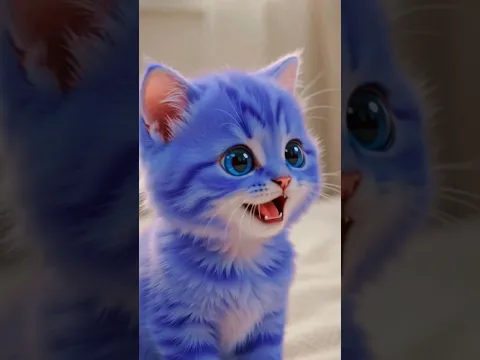 pa 💙pa💙💤#funny #cats #cute #cutebaby #cat #trendingshorts #shortvideo #shortvideo #youtube #trend