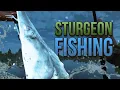 3 ways to Fish for White Sturgeon at San Joaquin Delta in Fishing Planet