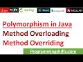 Polymorphism in Java Method overloading Overriding with coding in 30 minute