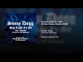 Drop It Like It's Hot (Extra Clean Radio Edit)