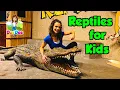 Kids Learn About Reptiles