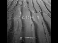 Zakhm - Sharad Eishita (SE)