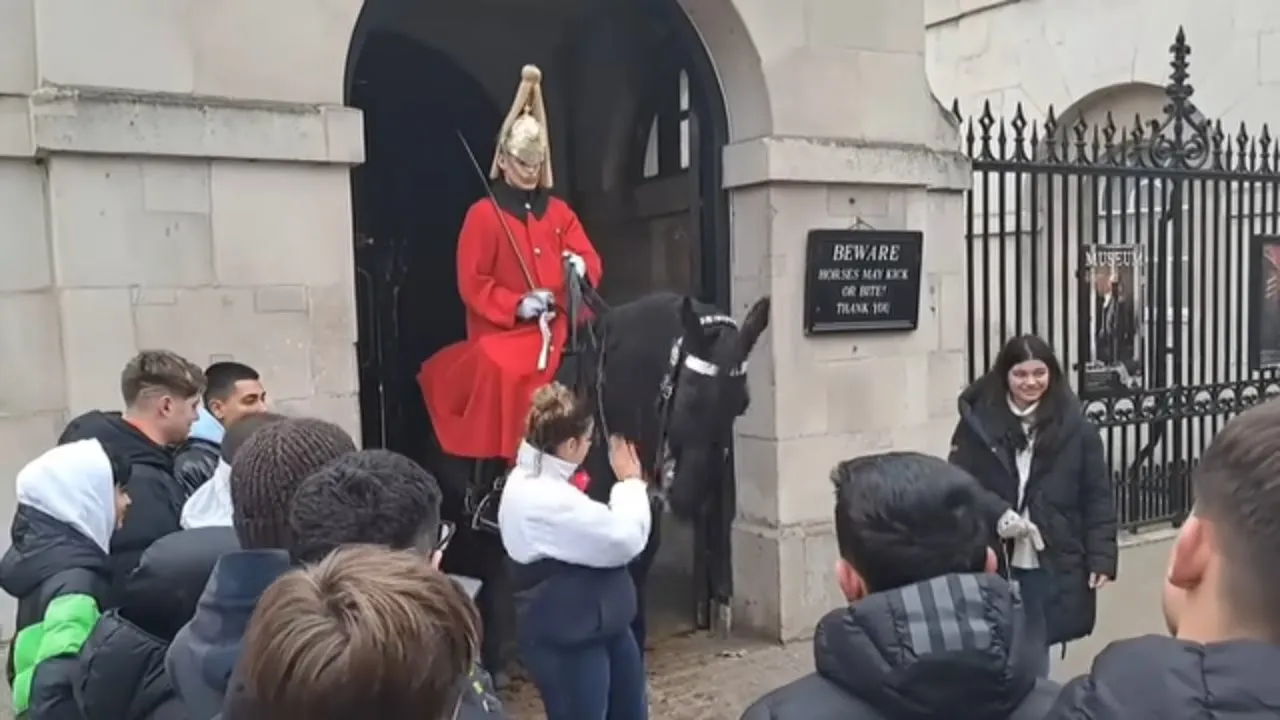 Tourist slaps horse across the  face 3 times guard shouts step back gets police #horseguardsparade