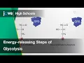 Energy-releasing Steps of Glycolysis Bio Textbooks -