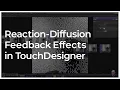 Reaction-Diffusion Feedback Effects in Touc esigner - Touc esigner Tutorial 087