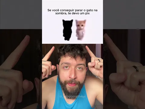 VOCÊ CONSEGUE PARAR O GATO NA SOMBRA?