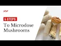 How to Microdose Mushrooms 6 Steps