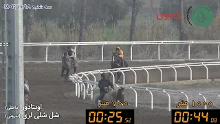 اونتادور شل شلی لری 