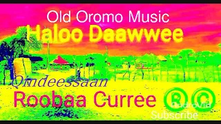 Haloo Daawwee Urguma Hamtu Isaa Na Fide Bareeda Qacceedha Kan Na Miidhe 