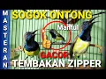 Download Lagu SOGOK ONTONG GACOR FULL TEMBAKAN ZIPPER - MASTERAN