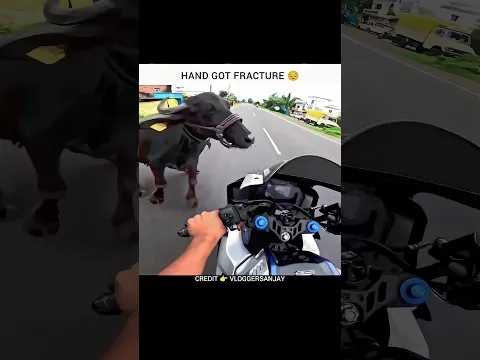 Cr*sh With COW 😔 | Motovlogs