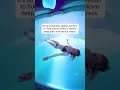 Let the stress just float away