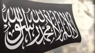 الشيخ ربيع المدخلي بيننا وبينكم كتب السلف 