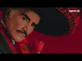 Vicente Fernández - Un Millón de Primaveras (Letra)
