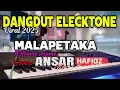 Download Lagu H.Rhoma Irama/Malapetaka/Versi Dangdut Elecktone/Terbaru 2025