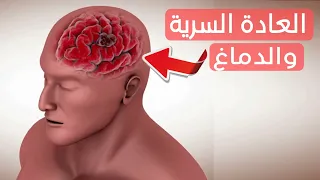 كيف تدمر العادة السـ ــريــة دماغك مشاهد تعرض لأول مرة 