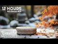 Calming Music for Spa Massage Relaxation and Meditation