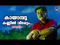 Download Lagu Kayampoo Kannil Vidarum - Nadhi(1969) | K.J Yesudas | Vayalar ramavarma | G Devarajan | Movie Song
