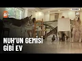 Download Lagu Bu evde her türden hayvan var - atv Ana Haber 28 Ağustos 2025