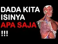 Download Lagu DADA KITA ISINYA APA SAJA YAAA !!!!