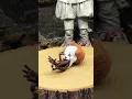 Download Lagu NECAIT- 7” Scale Action Figure - Ultimate Pennywise The Dancing Clown 2017#neca #necatoys #pennywise
