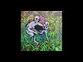 Indigo De Souza - How I Get Myself Killed [Official Audio]