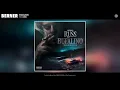 Download Lagu Berner feat. DMX - Foolish (Audio)