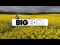 ☆ Quintino X Cheatcode - Can't Fight It (Dream Hackers Remix) | PROGRESSIVE HOUSE ☆