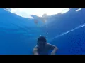 swimming gif