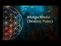 How to calculate the Bhrighu Bindu A Destiny point in your horoscope