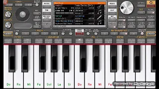 عزف موسيقى الشهير شون ذا شيب 