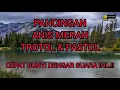 Download Lagu TERAPI Burung Anis Merah TROTOL \u0026 PASTOL Agar Cepat Bunyi.