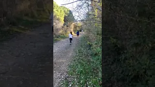                     دندنها