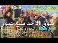 Lagu أثمنة الزيت والحبوب واللحوم والدجاج سوق الأحد سبع عيون اليوم 14/12/2025