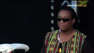third world mr reggae ambassador live at woodstock 2013 hd 